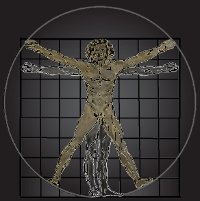 Proportions